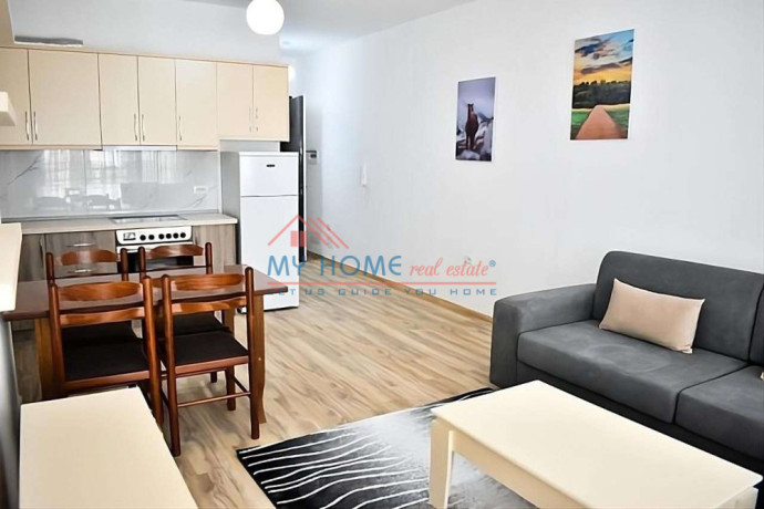 apartament-11-me-qera-ne-rrugen-dritan-hoxha-tirane-big-0