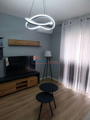 apartament-21-me-qera-ali-demi-ne-tirane-big-4