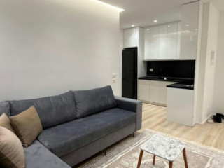 Astir shitet apartament 1+1, pallat i ri