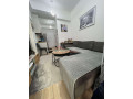 apartament-11-me-qira-ali-demi-tirane-small-0
