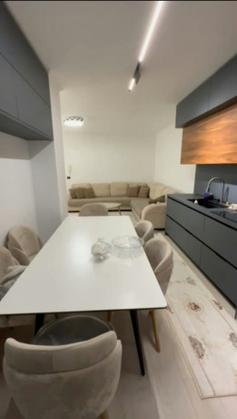 ministria-e-jashtme-jepet-me-qera-apartamet-21-pallat-i-ri-big-1