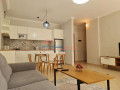 apartament-11-me-qera-qender-ne-tirane-small-3