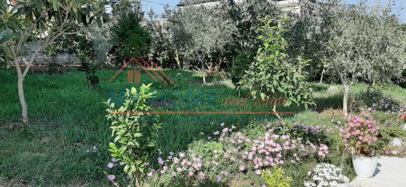 vile-me-qira-ne-mjull-bathore-tirane-big-3