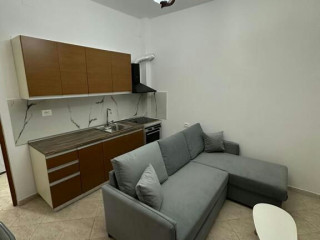 Ali Demi jepet me qera 1+1 ne vile 2 kateshe