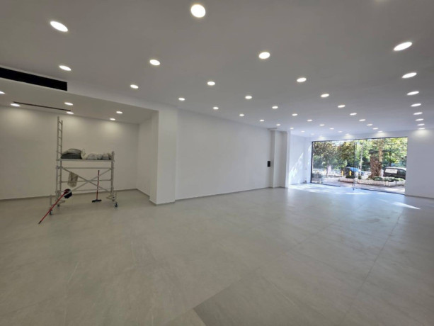 delijorgji-shitet-ambjent-komercial-big-1