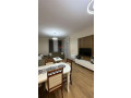 apartament-11post-parkimi-me-qira-tek-5-maj-tirane-small-2