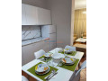 apartament-21-me-qera-ne-bllok-ne-tirane-small-4