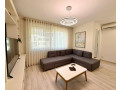 jepet-me-qera-apartament-1-1-rruga-kosovareve-small-2