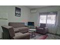 apartament-21-me-qera-tek-sheshi-wilson-ne-tirane-small-1