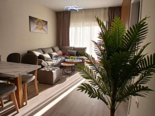 Apartament 2+1 me Qira te Zogu i Zi Tirane