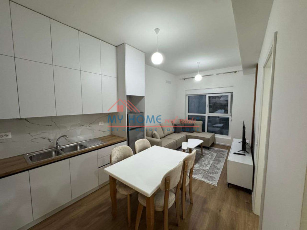 apartament-11-me-qira-ali-demi-tirane-big-0