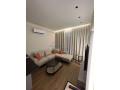 apartament-11-ali-demi-tirane-small-3