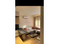 apartament-11-me-qira-ali-demi-tirane-small-2