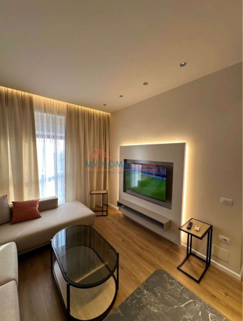 apartament-11-me-qira-ali-demi-tirane-big-0