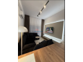 apartament-11-me-qira-ali-demi-tirane-small-3