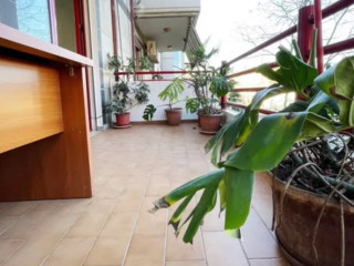 Rruga Kavajës, pranë Kishës Ortodokse jepet me qera ambjent zyrash