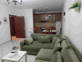 apartament-11-me-qera-rruga-dritan-hoxha-ne-tirane-small-0
