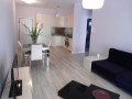 apartament-11-me-qira-te-ministrija-e-jashtme-tirane-small-4