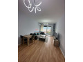 apartament-21-me-qira-5-maji-tirane-small-1