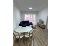 apartament-11-me-qira-tek-rruga-dritan-hoxha-tirane-small-1