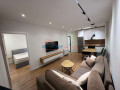 apartament-11-me-qira-tek-rruga-dritan-hoxha-tirane-small-1