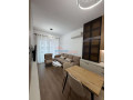apartament-11-me-qira-ali-demi-tirane-small-0