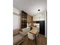 apartament-11-me-qira-ali-demi-tirane-small-1