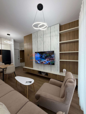 apartament-11-me-qira-ali-demi-tirane-big-0