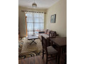 apartament-11-me-qera-tek-juridku-tirane-small-0