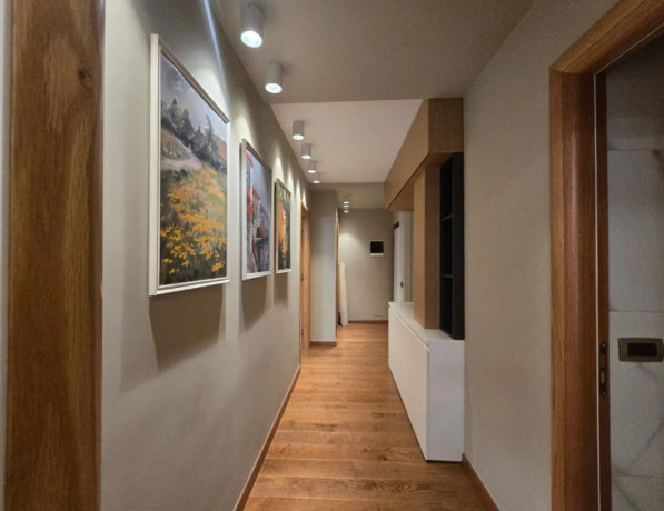 apartament-luksoz-212-rruga-frosina-plaku-prane-shkolles-naim-frasheri-big-1