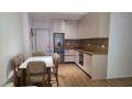 apartament-11-me-qira-te-ali-demi-tirane-small-3