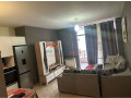 apartament-21-ne-shitje-astir-ne-tirane-small-0