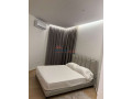 apartament-11-me-qira-tek-kopshti-botanik-tirane-small-2