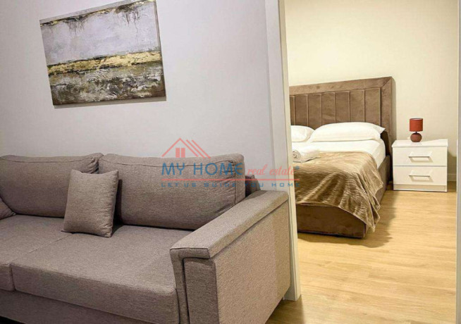 apartament-11-me-qera-zogu-i-zi-tirane-big-3