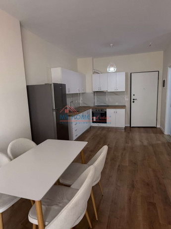 apartament-11-me-qira-te-5-maji-tirane-big-3