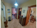 vasil-shanto-prane-lakror-ane-shitet-21-small-3