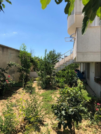 shitet-vile-zona-qyteti-studenti-sauk-big-4