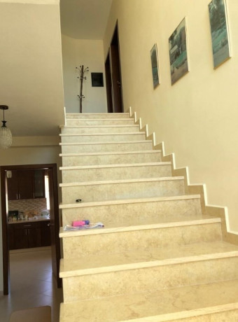 shitet-vile-zona-qyteti-studenti-sauk-big-1