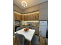 apartament-11-me-qira-kompleksi-kadiu-tirane-small-3