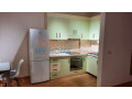 apartament-21post-parkimi-me-qera-tek-kopshti-zoologjik-ne-tirane-small-4