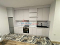 apartament-11-me-qira-tek-rruga-dritan-hoxha-tirane-small-2