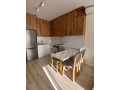 apartament-21-me-qira-te-zogu-i-zi-tirane-small-3