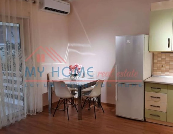 rruga-eduard-mano-prane-kopshtit-zoologjik-jepet-me-qera-apartament-21parking-big-1