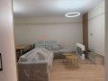 apartament-11verande-me-qera-tek-liqeni-artificial-ne-tirane-small-4