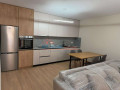 apartament-11verande-me-qera-tek-liqeni-artificial-ne-tirane-small-2