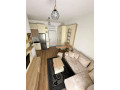 apartament-11-me-qira-ali-demi-tirane-small-0