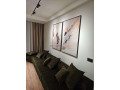 apartament-11-me-qira-rruga-mine-peza-tirane-small-0