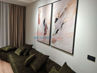 Apartament 1+1 me Qira Rruga Mine Peza Tirane