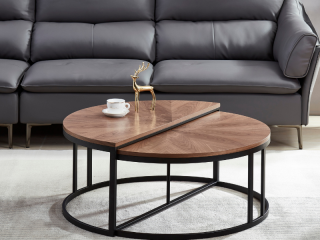TAVOLINE DITE CT-2218 100X43CM