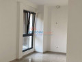 zyre-me-qera-tek-pazari-i-ri-tirane-small-4